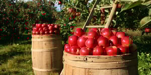 10 Must-Do Autumn Activities with Your Family