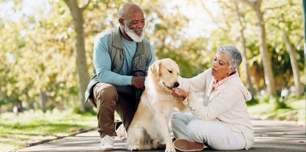 20 Pet Training Tips for First-Time Pet Owners